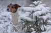 Schnee liegt in der Luft