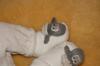 Schäfchensocken