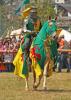 Einmarsch der Ritter